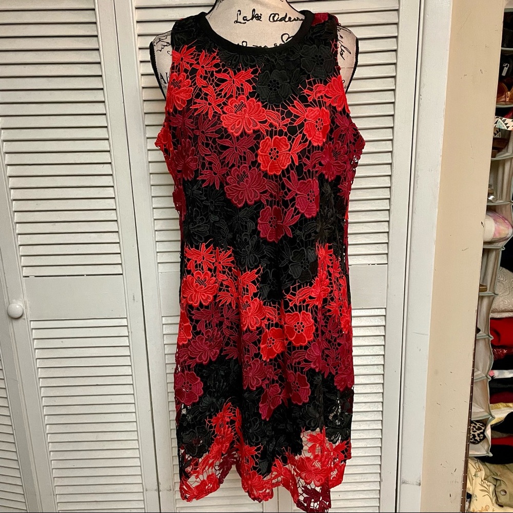 Taylor Plus size dress